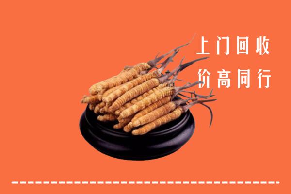 东莞回收冬虫夏草